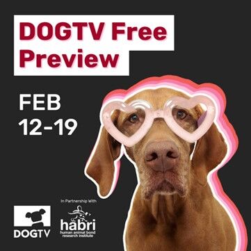 DogTV free Feb preview
